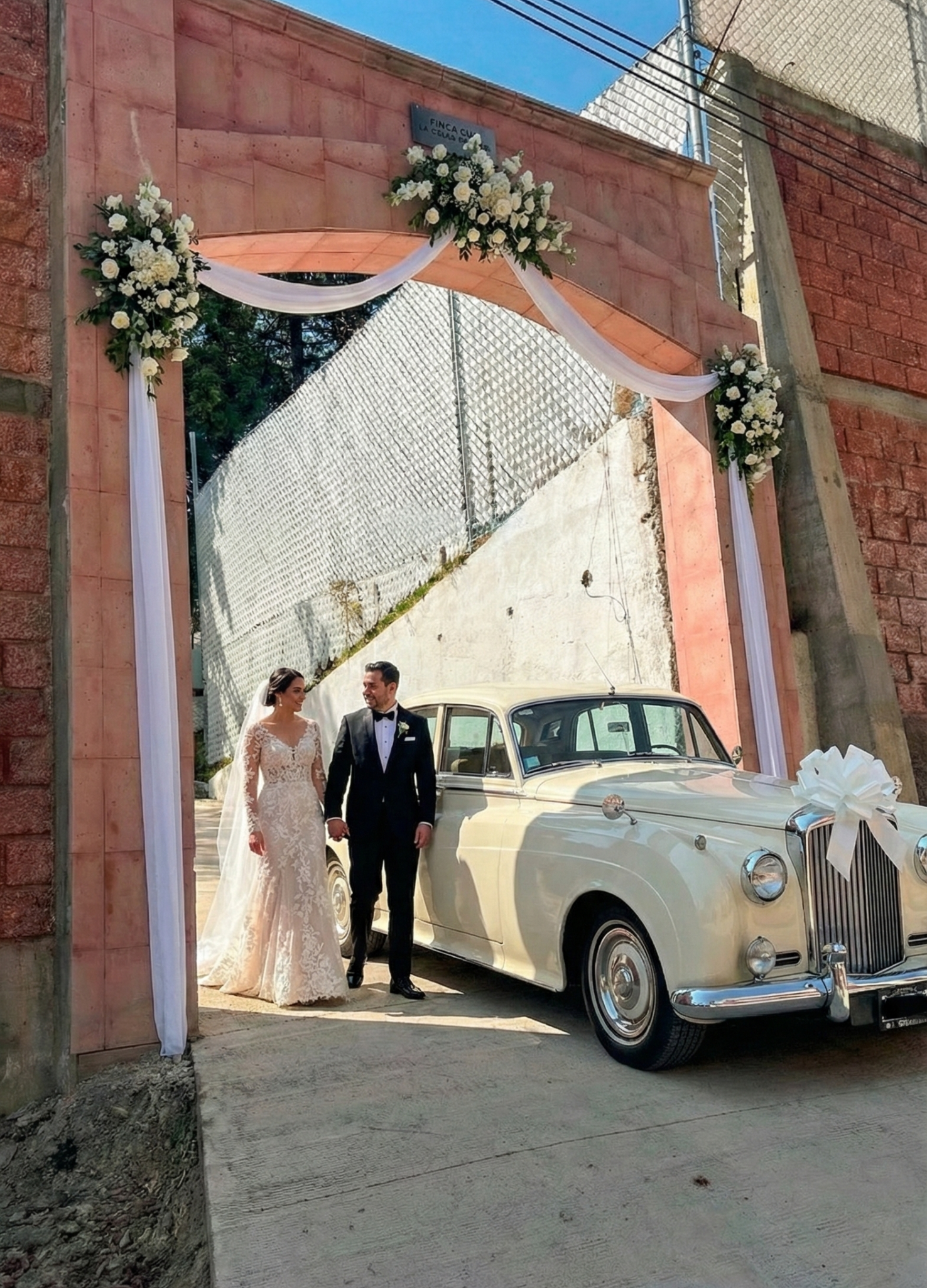 Gemini_Generated_Image_feuvz9feuvz9feuv